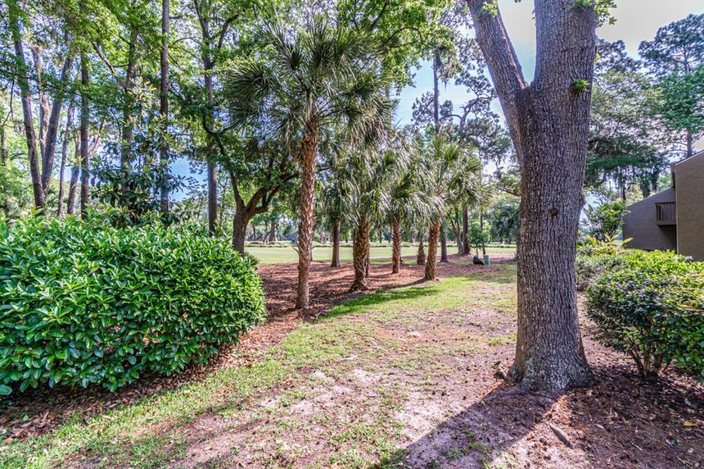Willa Pet Friendly! 503 Plantation Club Walk To Pool Sleeps 6 Sea Pines Hilton Head Island Zewnętrze zdjęcie